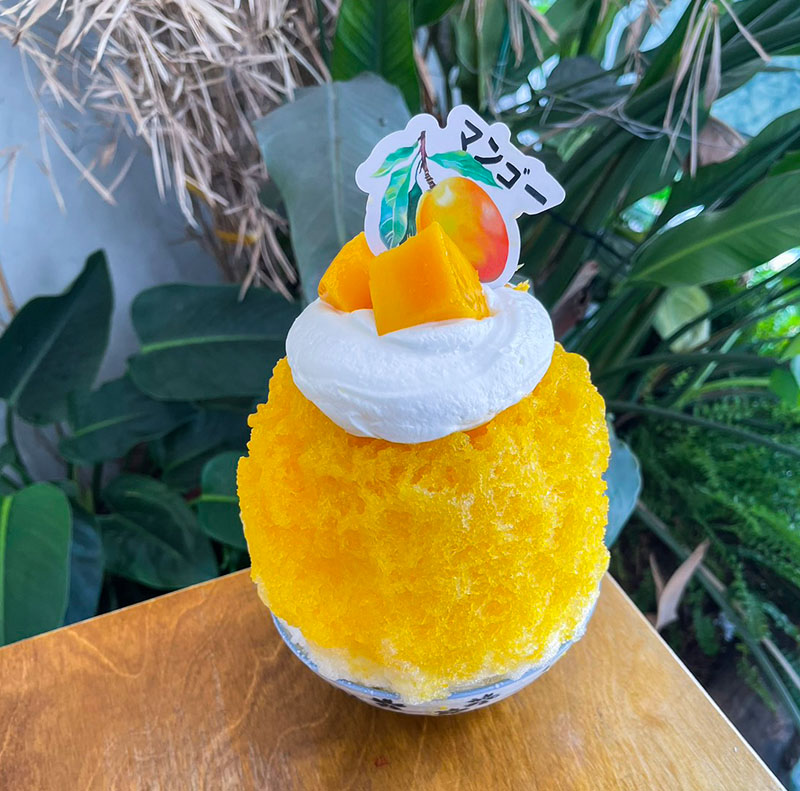 石垣島 芒果日夏